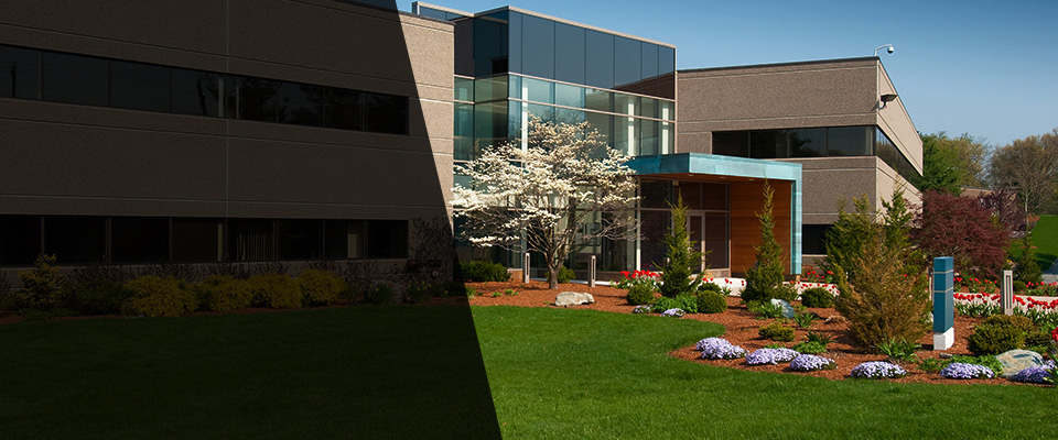 East Taunton Landscapers