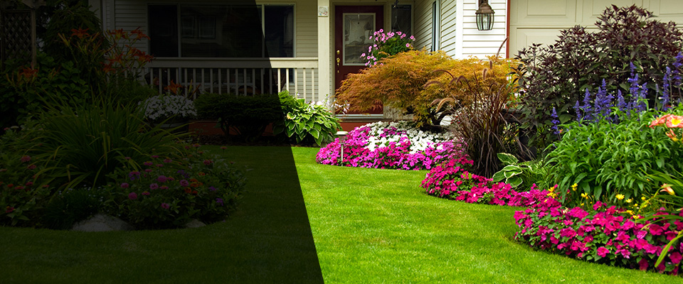 East Taunton Landscapers