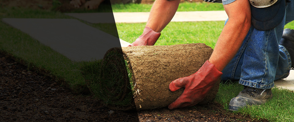 East Taunton Landscapers